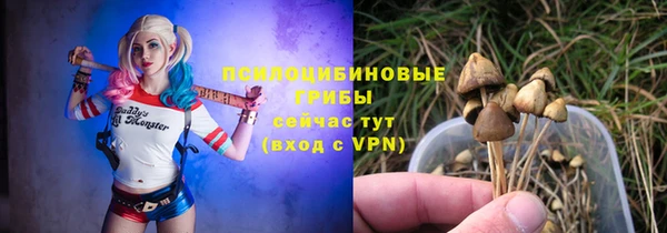 дживик Аркадак
