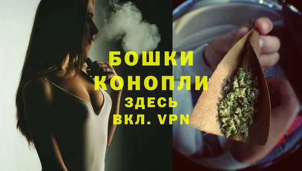 PSILOCYBIN Арсеньев