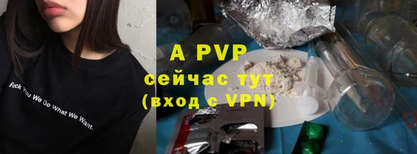 крисы Армянск