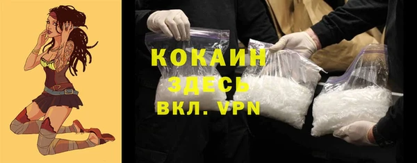молекула духа Ленск