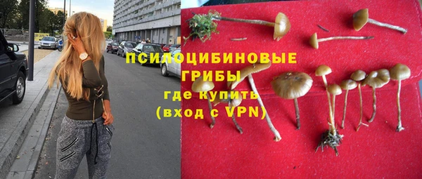 крисы Армянск