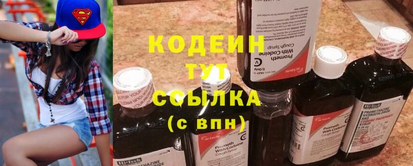 крисы Армянск