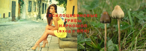 крисы Армянск