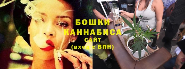 дживик Аркадак