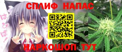 спиды Гагарин