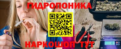тгк Гай