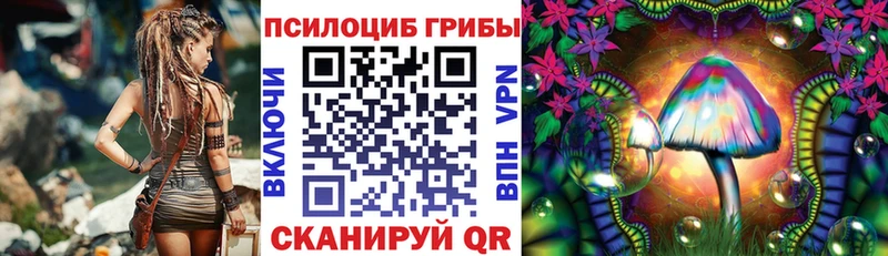 Псилоцибиновые грибы ЛСД Полысаево
