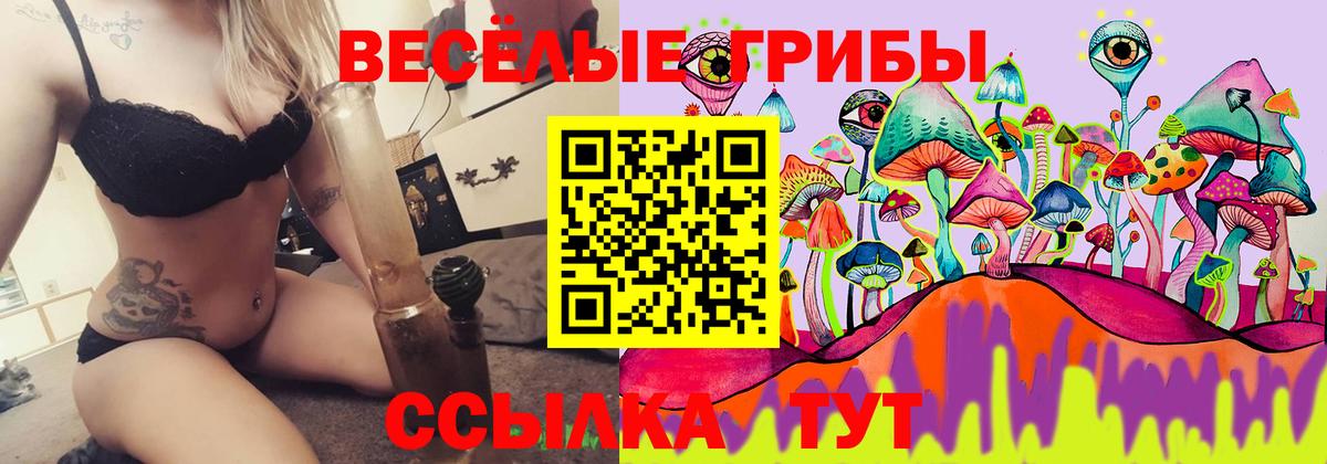 Галлюциногенные грибы Psilocybe  Вход с VPN  Полысаево  Галлюциногенные грибы GOLDEN TEACHER 