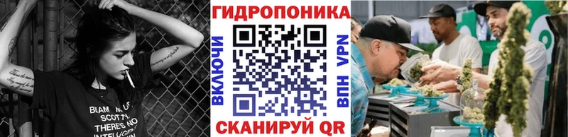 Шишки марихуана ГИДРОПОН купить наркоту kraken сайт Полысаево